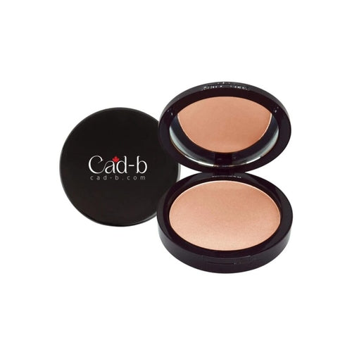 Dual Blend Powder Foundation - Mesa WD105 | Matte, Sleek Finish - Which Mark