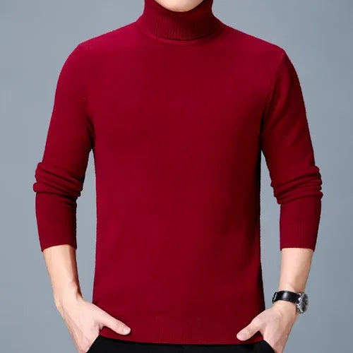 Cashmere Sweater High Neck Thickened Young And Middle-aged Men - Which Mark
