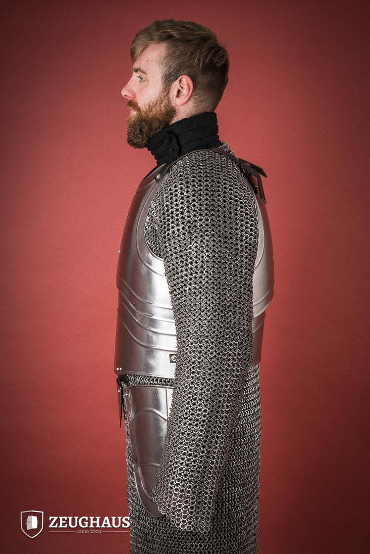 Cuirass Warrior With Tassets Polished - Which Mark