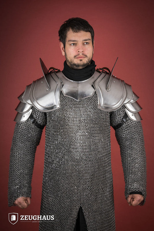 Pauldrons Warrior with Bladebreakers Polished - Which Mark