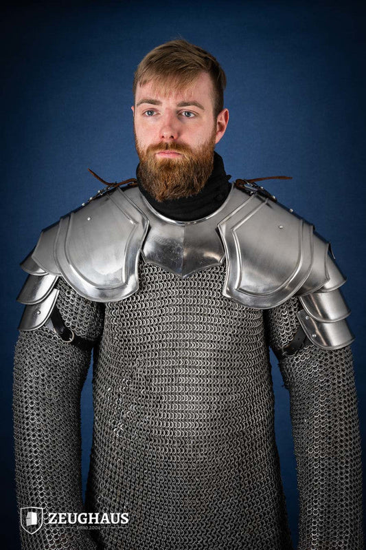 Pauldrons Warrior Polished - Which Mark