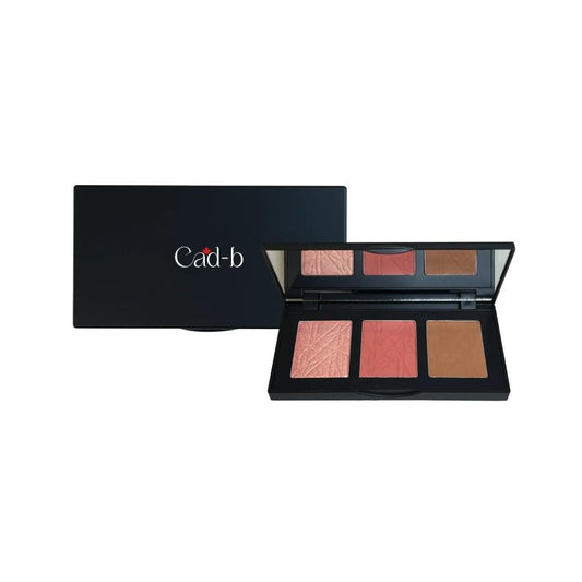 Pro Cheek Palette in both Matte and Shimmer Shades – Curious – PCP52 - Which Mark