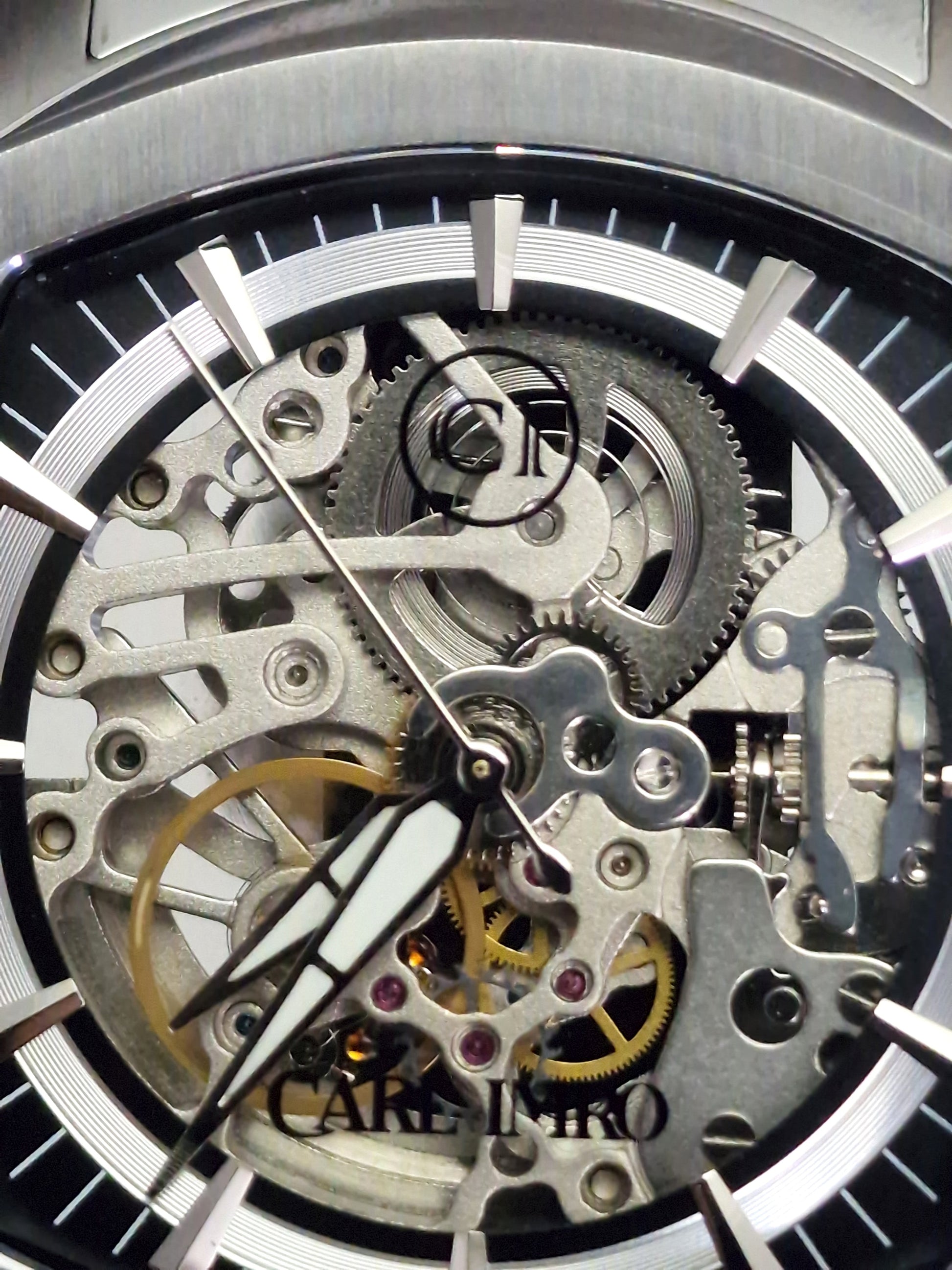 CRLi eSqueleto - Which Mark