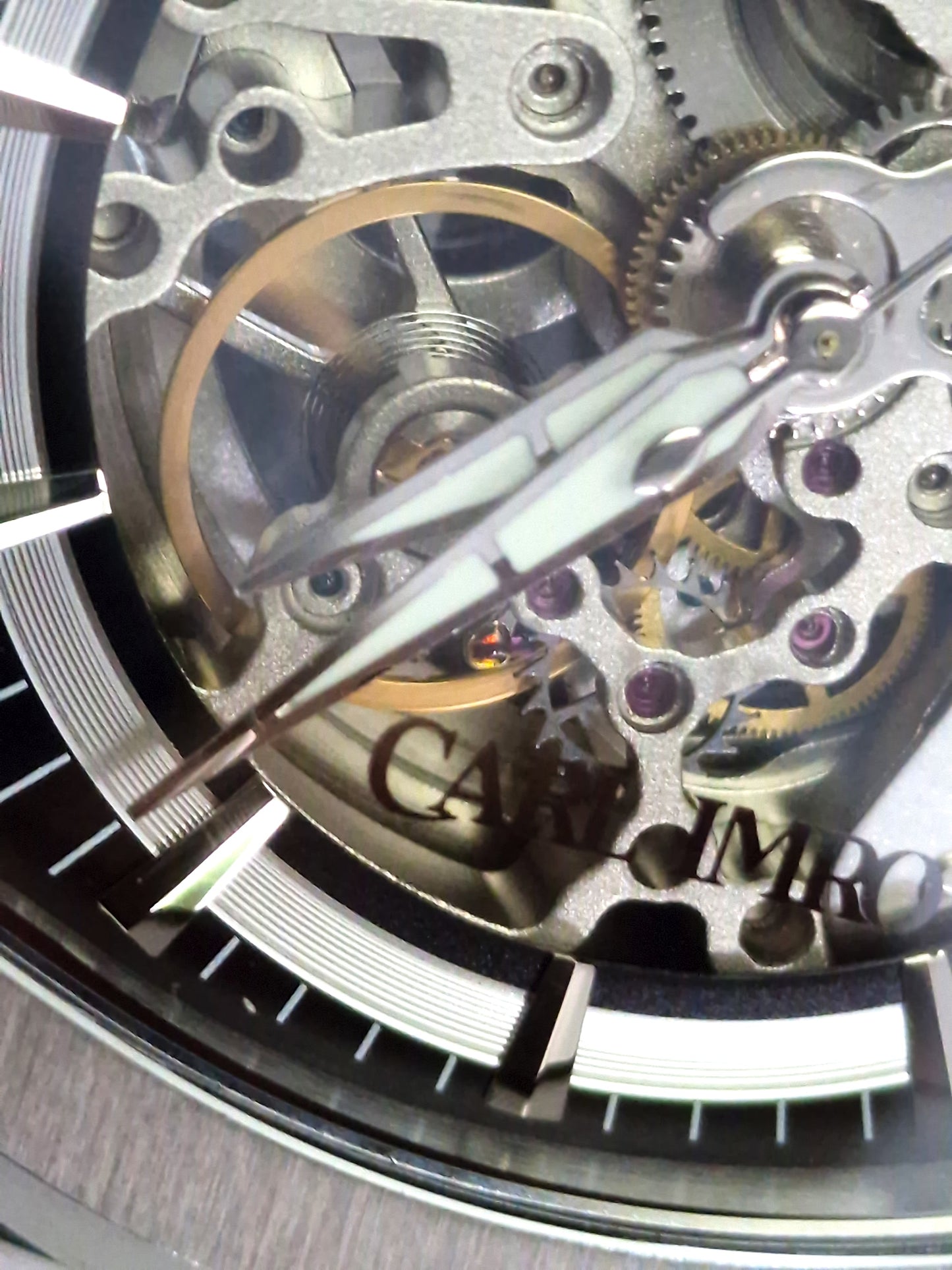 CRLi eSqueleto - Which Mark