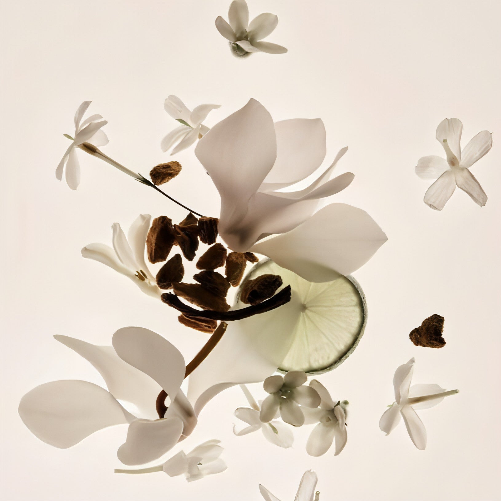 Vanilla Skin - Alcohol-free Perfume Lasting Missing Person Eau De - Which Mark