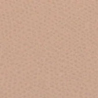 Slinky Logo Slingback - Which Mark