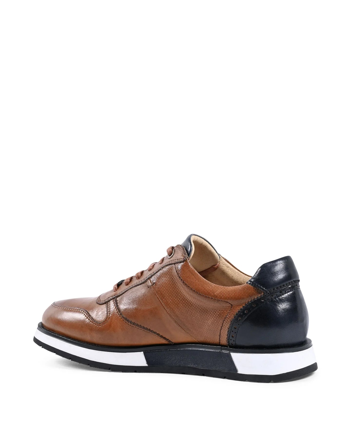 19V69 Italia Mens Sneaker Brown YO Y375-A3 TABACCO - Which Mark