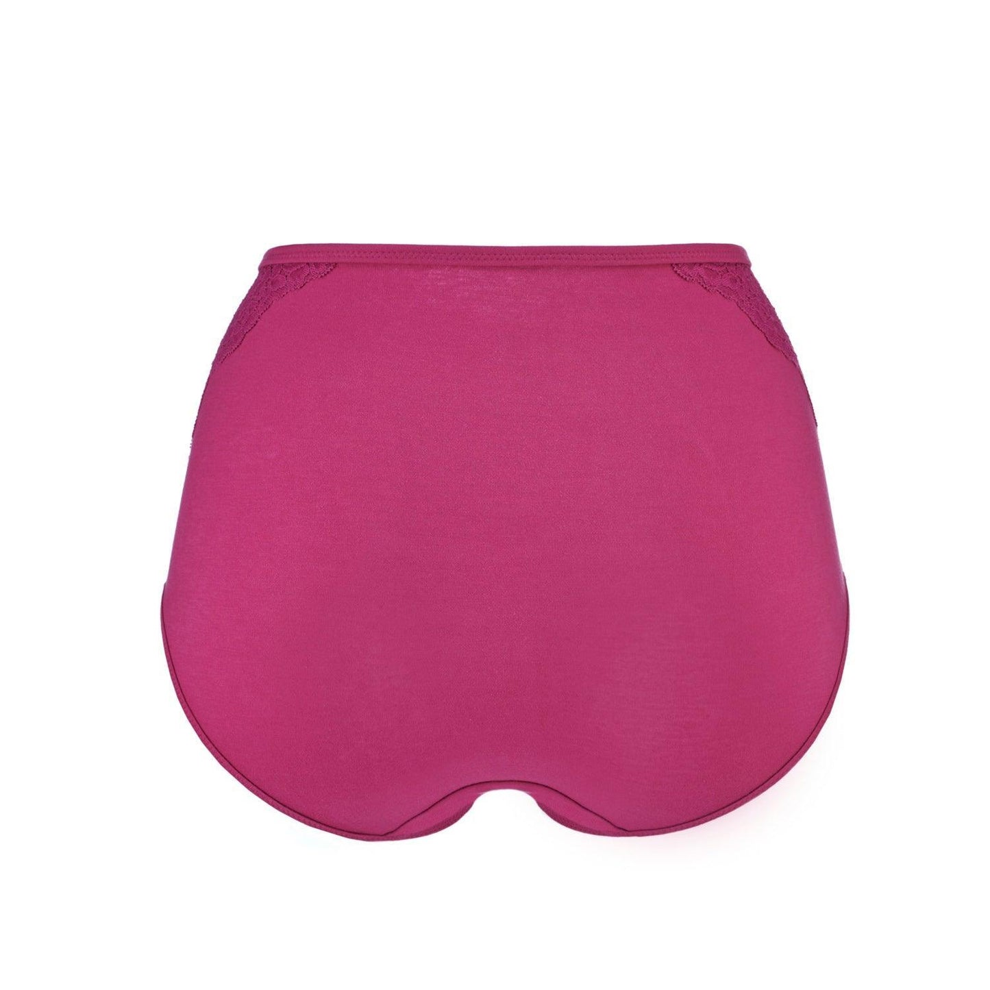 Fuchsia - High Waisted Silk & Organic Cotton Full Brief - Which Mark