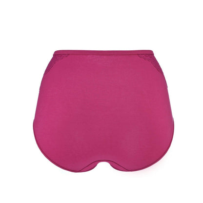 Fuchsia - High Waisted Silk & Organic Cotton Full Brief - Which Mark