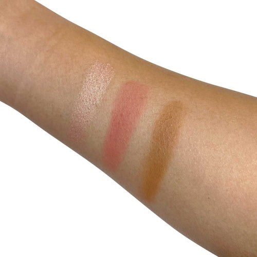 Pro Cheek Palette in both Matte and Shimmer Shades – Curious – PCP52 - Which Mark