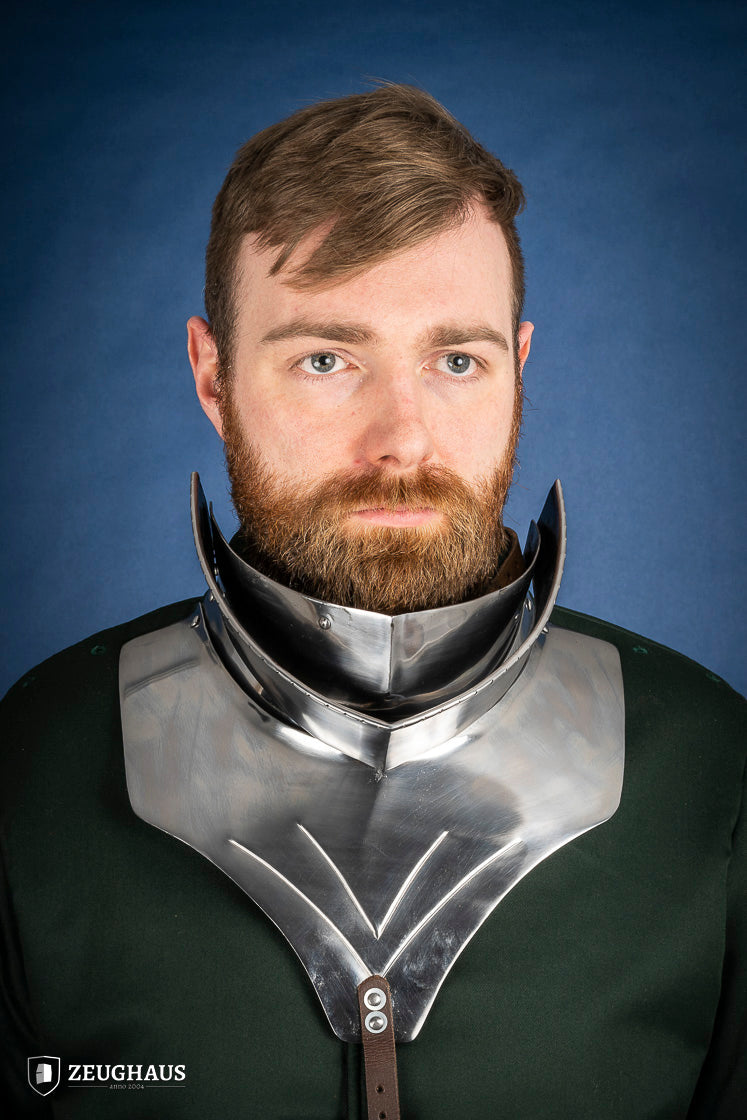Articulated Gorget with Bevor 1450-1520 1,6mm Polished - Which Mark