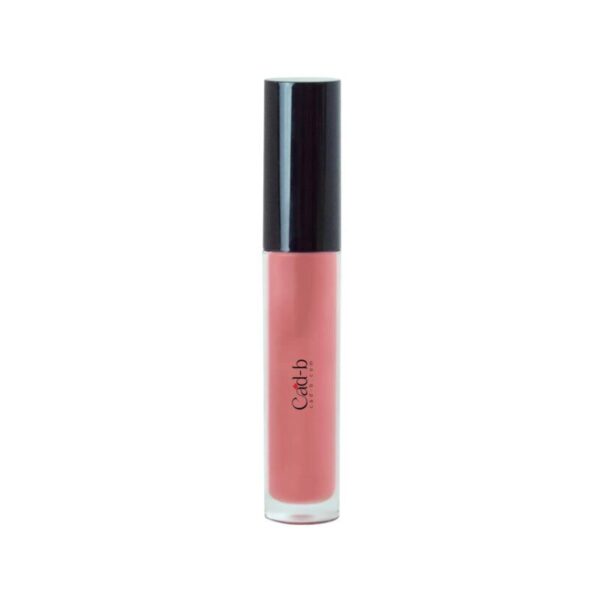 Lip Gloss - Shine LG28 | Vegan, Paraben Free, Shimmer & Natural Finish - Which Mark