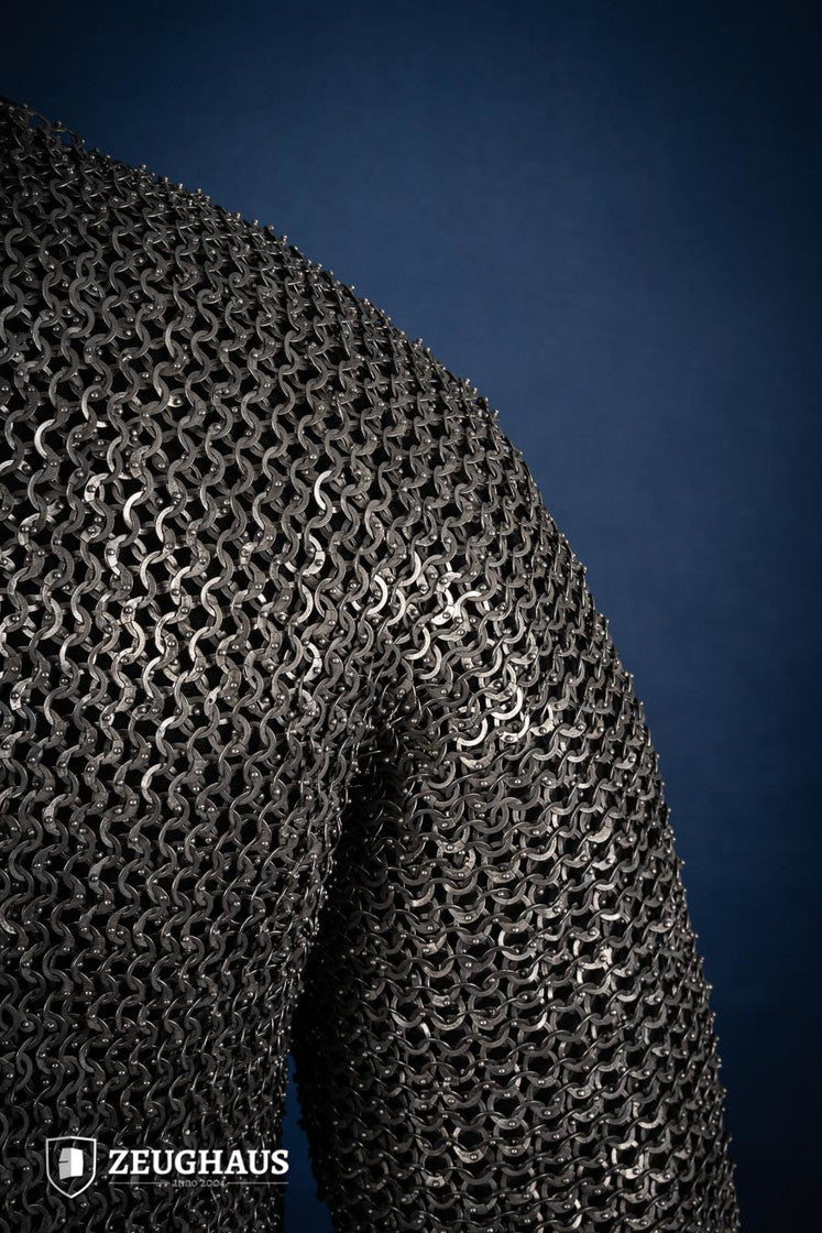 Chainmail Haubergeon Flatring Riveted 9mm Stainless Steel - Which Mark