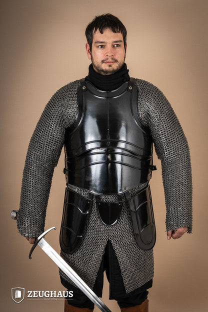 Cuirass Warrior With Tassets Burnished - Which Mark