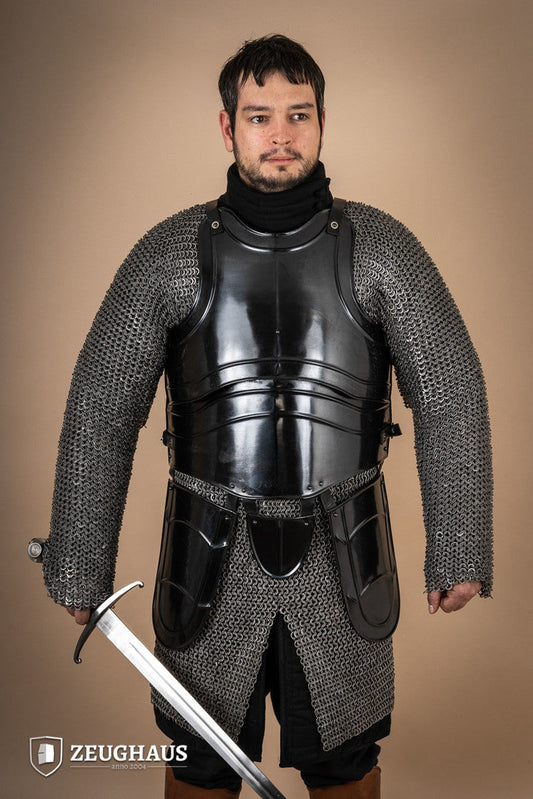 Cuirass Warrior With Tassets Burnished - Which Mark