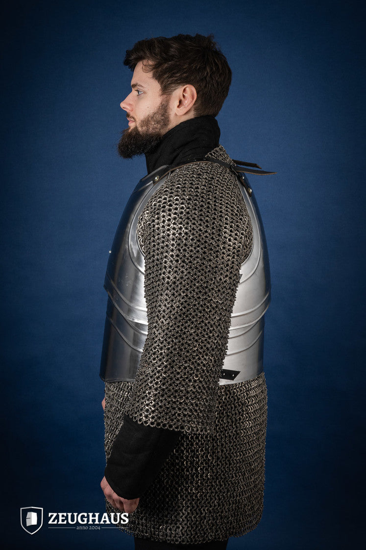 Cuirass Warrior Polished - Which Mark