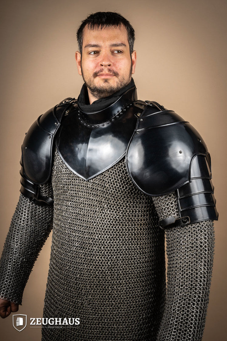 Pauldron Knight Burnished - Which Mark
