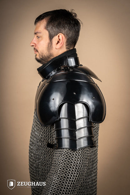 Pauldron Knight Burnished - Which Mark