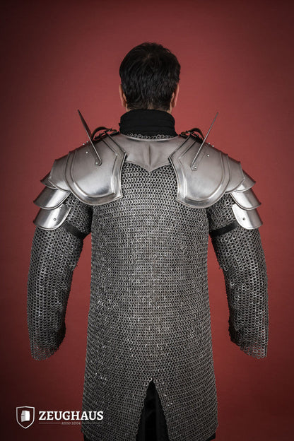 Pauldrons Warrior with Bladebreakers Polished - Which Mark